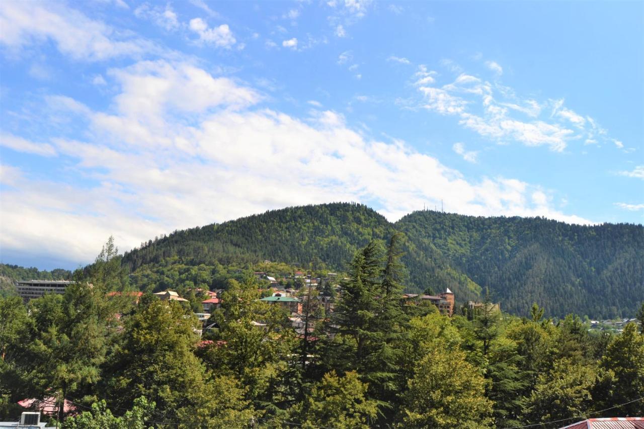 Gogichas Tower Hotel Borjomi Eksteriør billede
